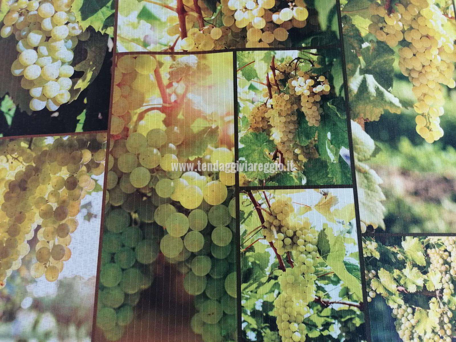 Passatoia original Sprinty 100% made in Italy modello VENDEMMIA 