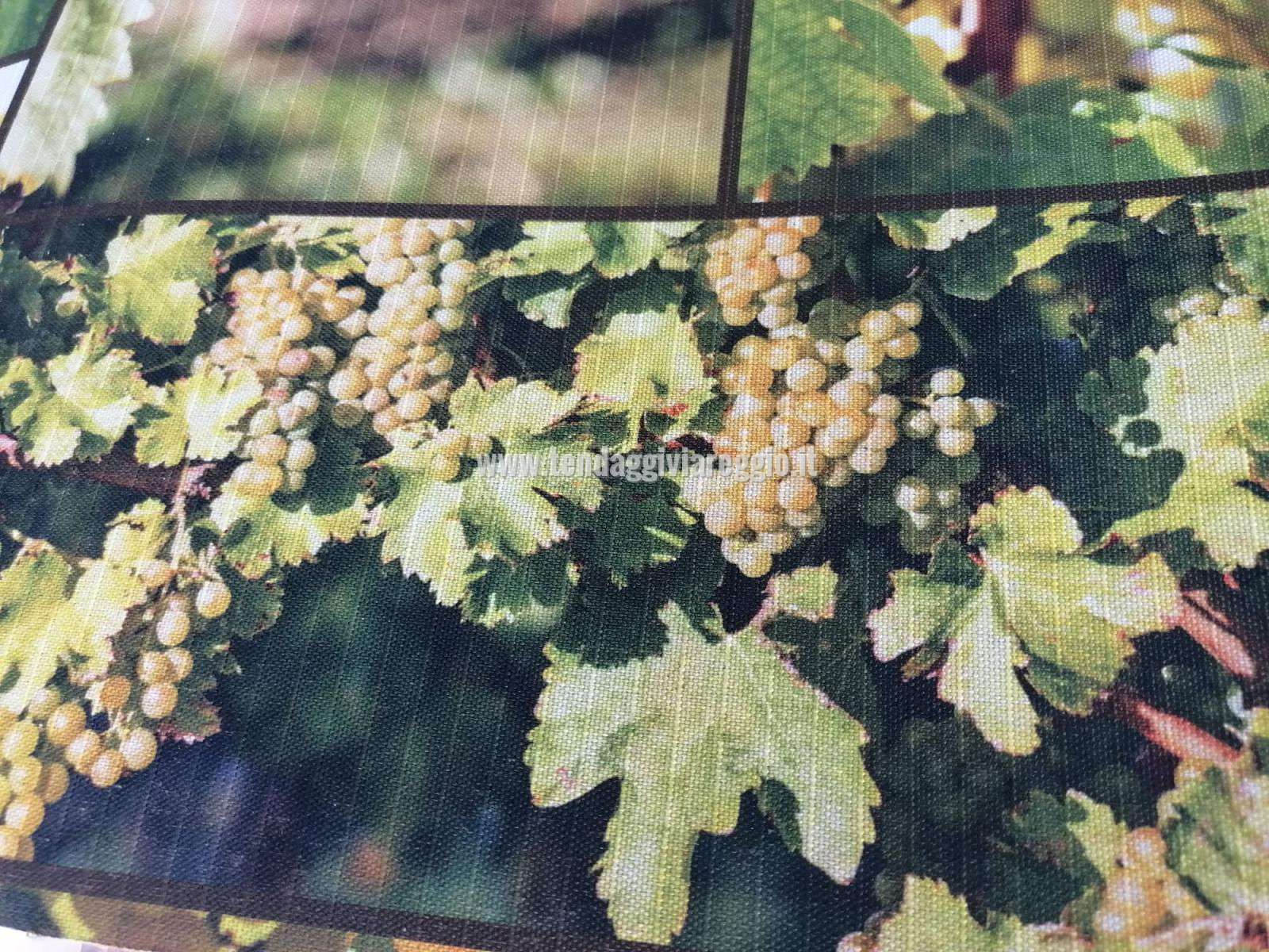 Passatoia original Sprinty 100% made in Italy modello VENDEMMIA 