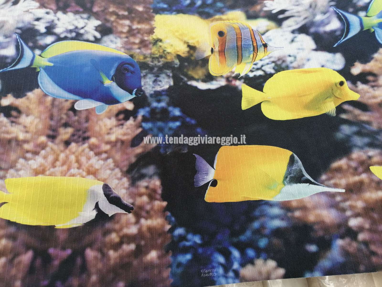 Passatoia a metraggio modello ACQUARIUS